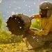 “Toka e mjaltit” prej sot në kinematë franceze